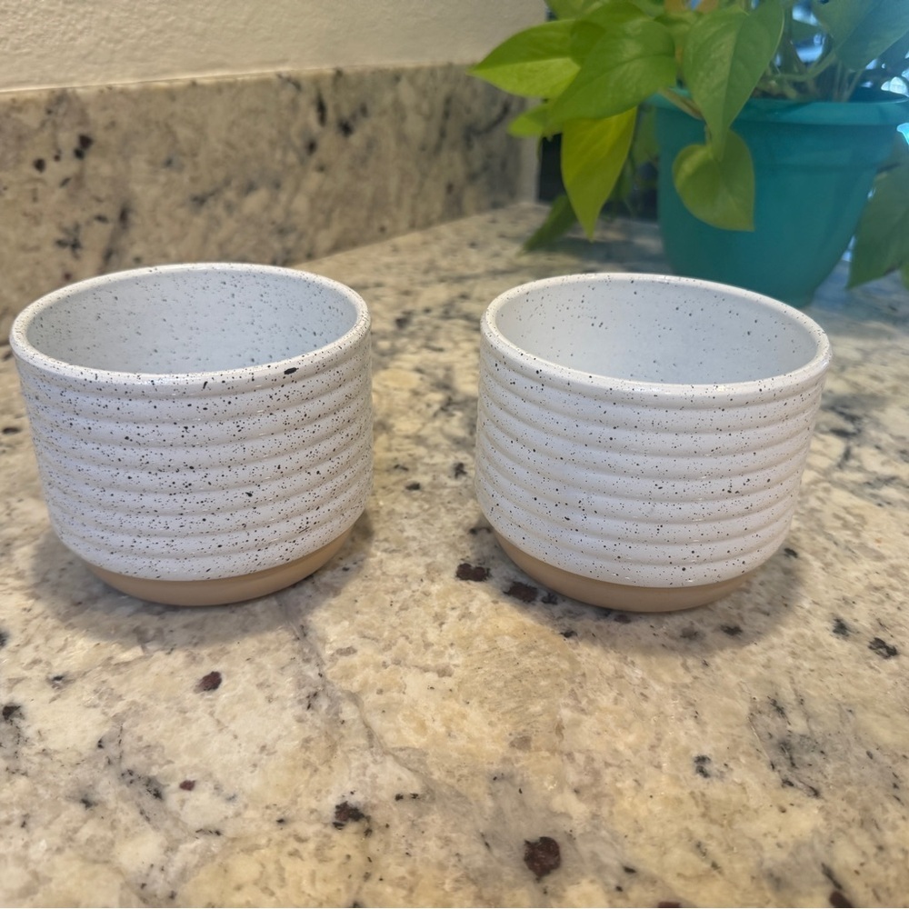 Set of Two White Speckled Plastic Flower Pots